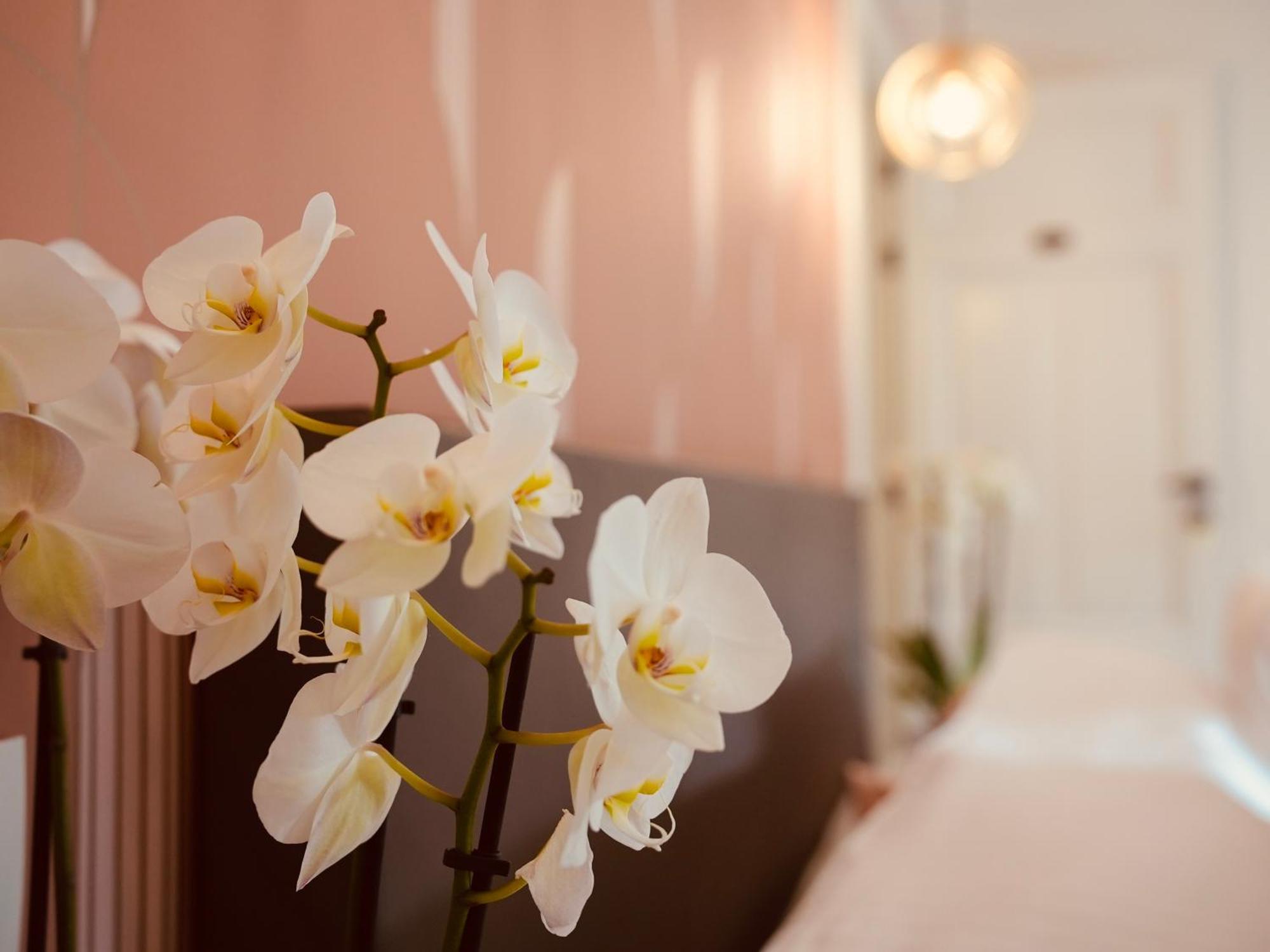 L'Amarante Chambres D'Hotes Ou Gite Citadin Theux Zewnętrze zdjęcie